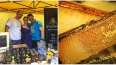 Slovenská MEDÁREŇ získala