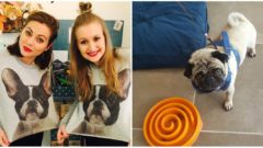 Petržalka dostala svoj