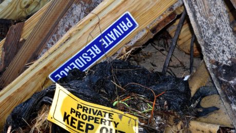 Je 20-krát väčší