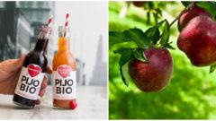 V týchto slovenských