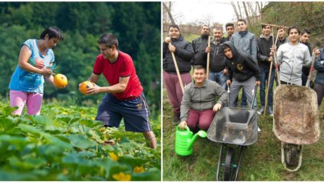 Slovenský psychológ v