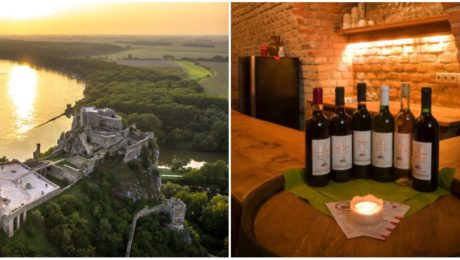 Vzkriesili Devínsky ríbezlák