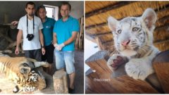 Slováci zachraňujú zvieratá