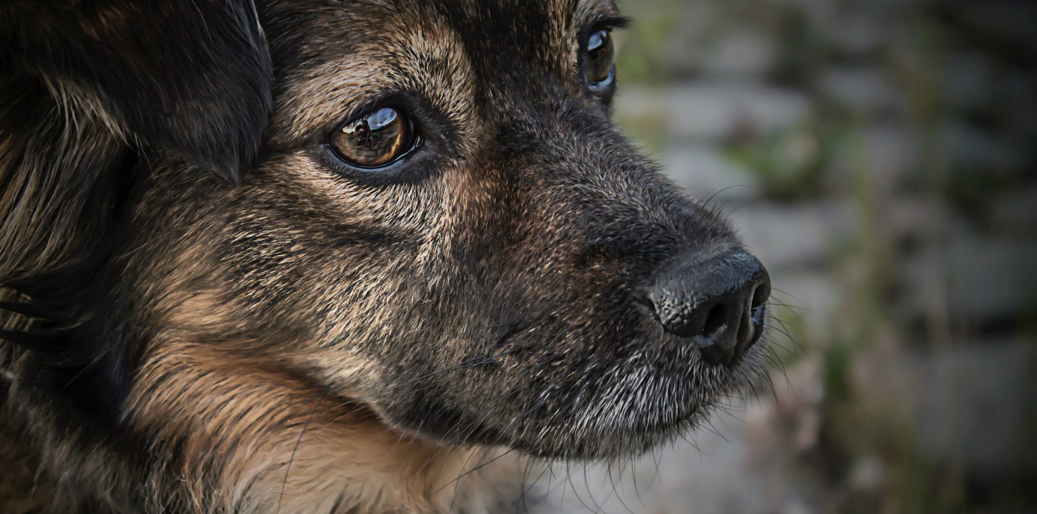 marek-prygiel-51394efwdq