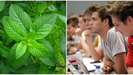 Prešovskí vedci vyšlachtili