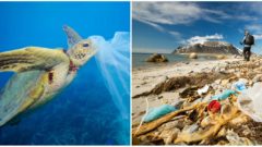 Za odnesenie nákupu