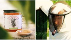 Najlepší slnečnicový med