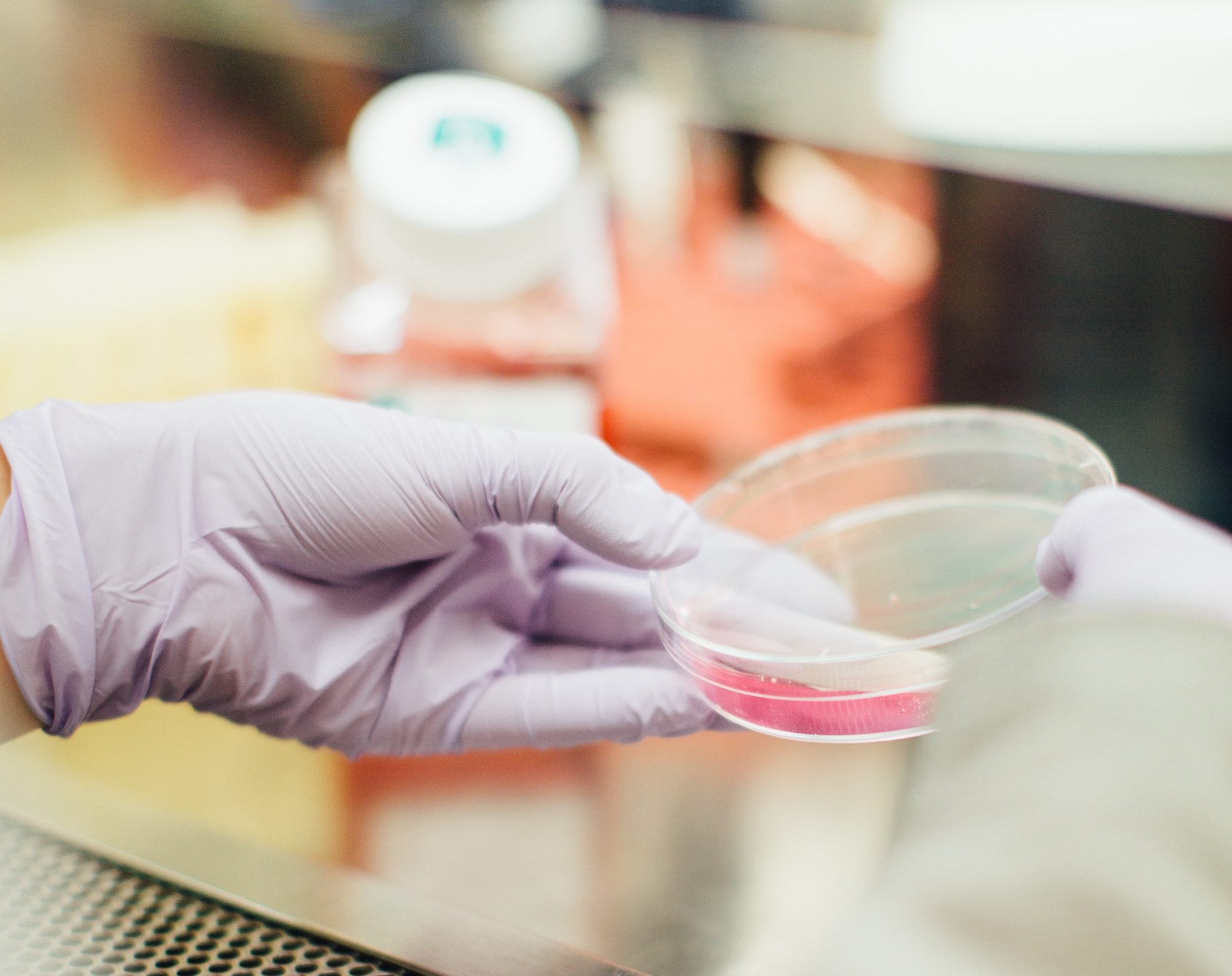 drew-hays-206414 (1)_upr