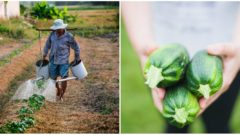 Švajčiarske mesto obyvatelia