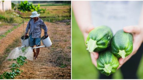 Švajčiarske mesto obyvatelia