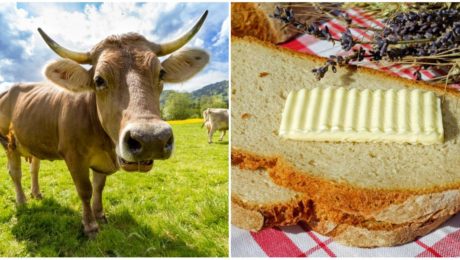 Slovensko zasiahla maslová