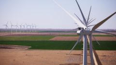 Dánsky výrobca veterných