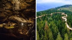 Do Bachledovej doliny