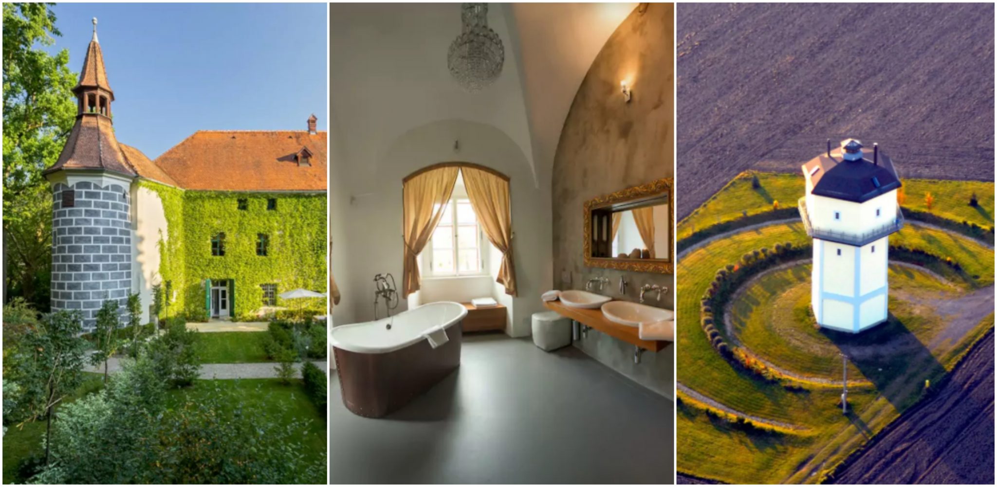 BeFunky Collagesfwefw