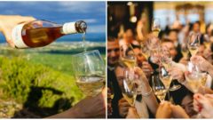 Lidl spúšťa predaj