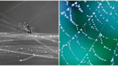 Nový systém zachytávania