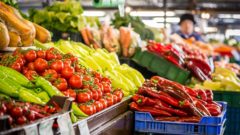 Miletička dostane novú