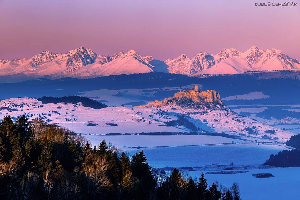 16002872_1884036171829360_4726806165931635100_n