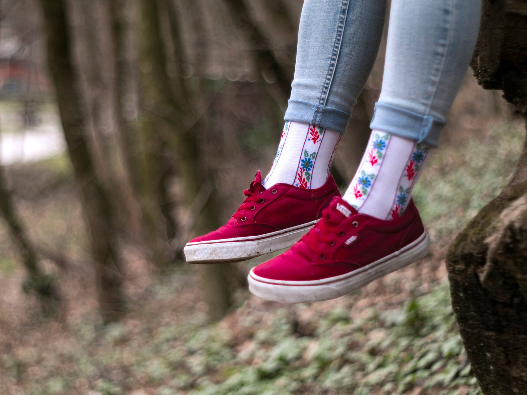 21586989_484963378532159_4801167433102279418_o