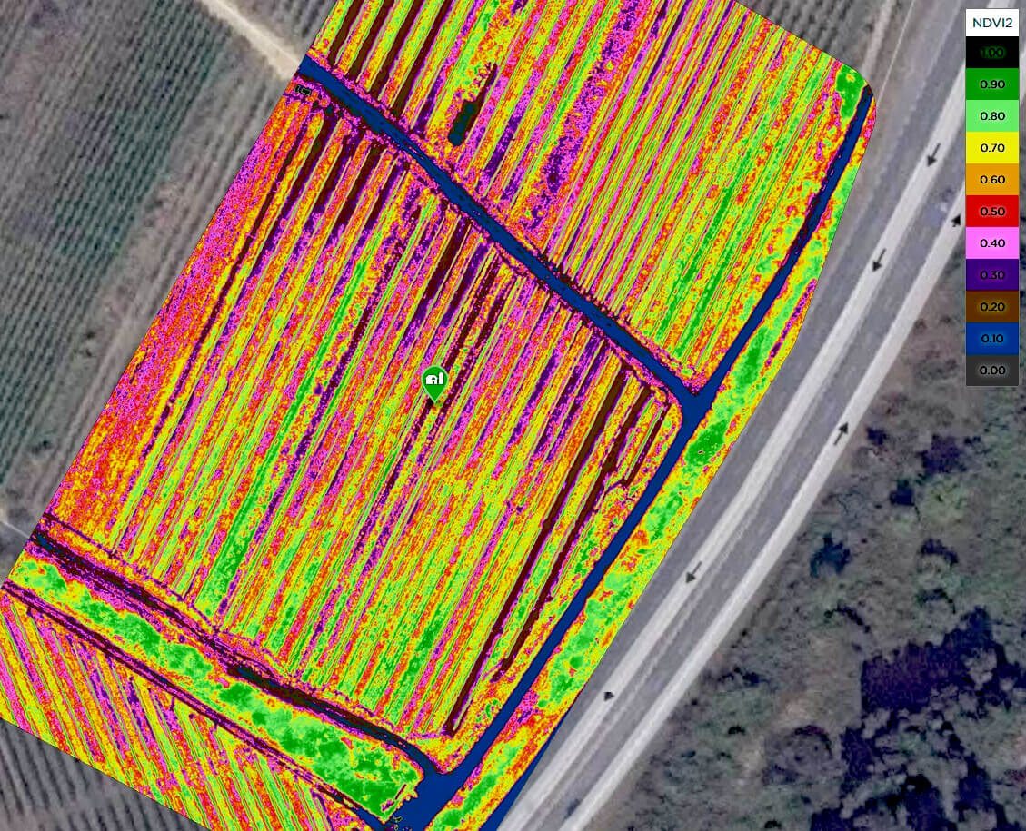 Letecke-foto-dron-vinohrady-NDVI
