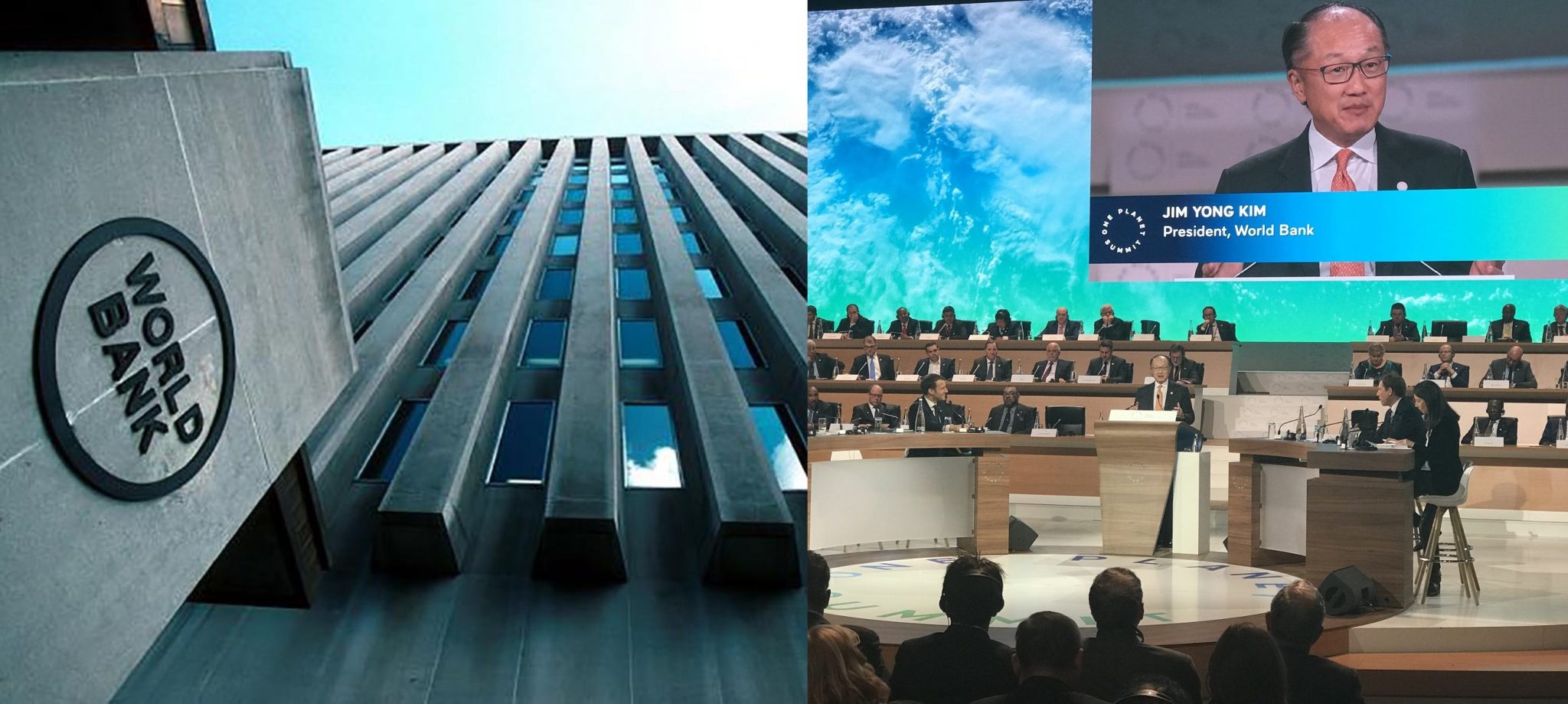 imgonline-com-ua-twotoone-Ar1iNTDNay04Emz