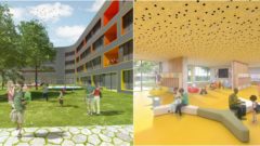 Developer Slnečníc ako