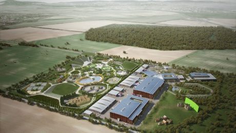 Slovenský Hollywood v