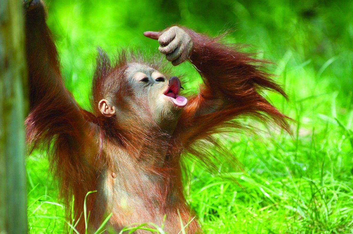 11051124506_accd5a474a_k