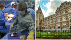 V Holandsku sa podľa