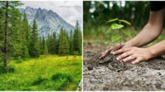 Vďaka tomuto vyhľadávaču