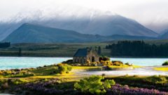 Spustil sa výpredaj