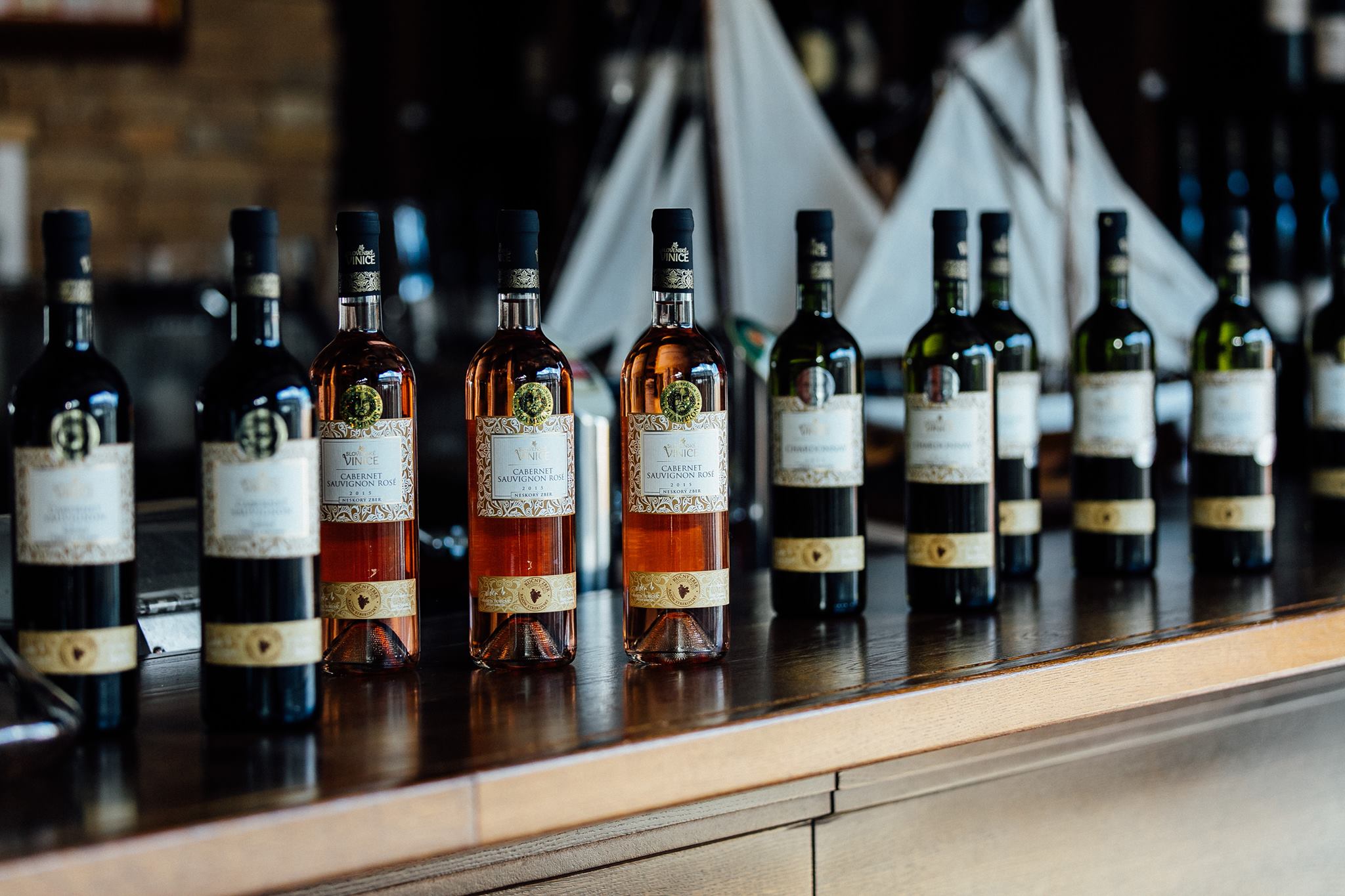 17349810_1183918375054120_5019169987739537947_o