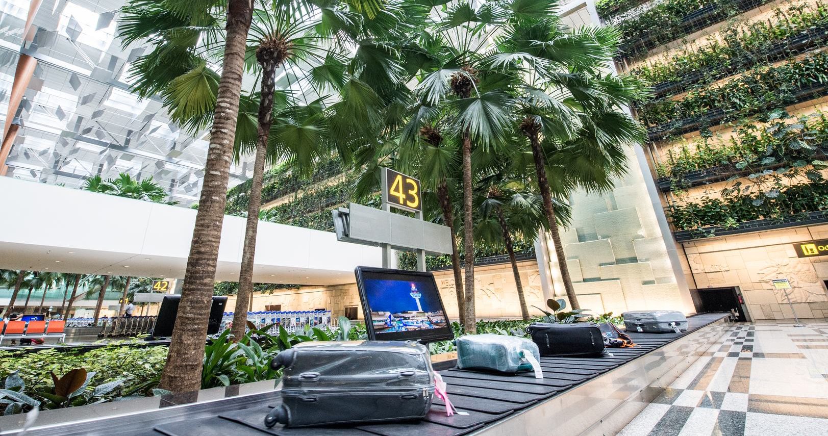 27710201_10156259303533598_3205150421565740996_o