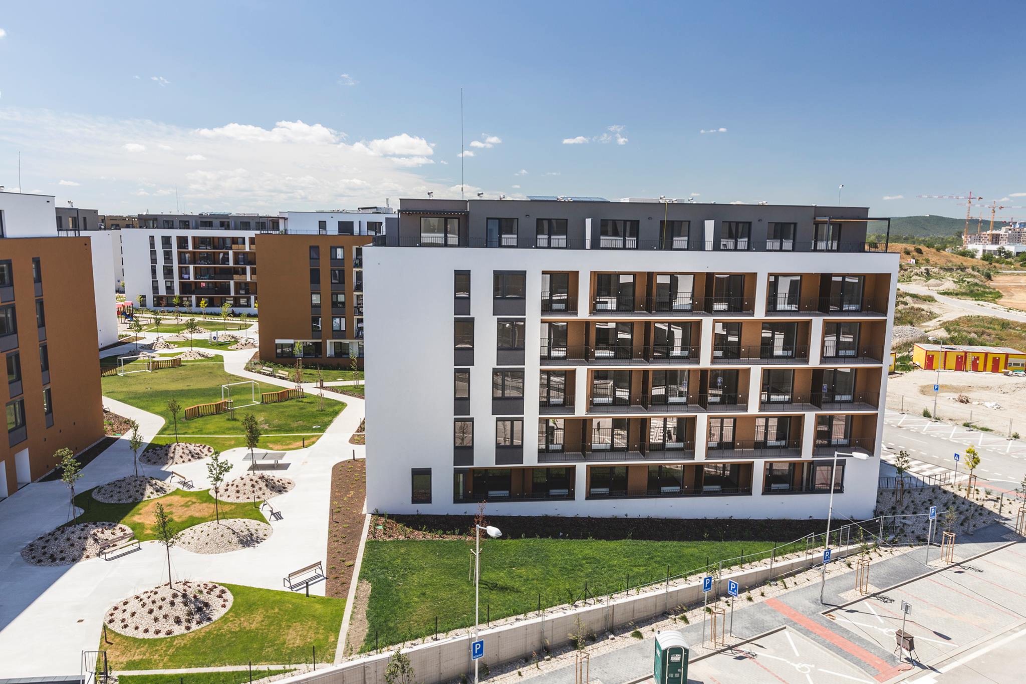 20545289_1615050068507764_1231185108639046992_o