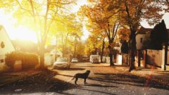 Ceny nehnuteľností aj