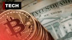 Nerozumiete Bitcoinu? Pozrite