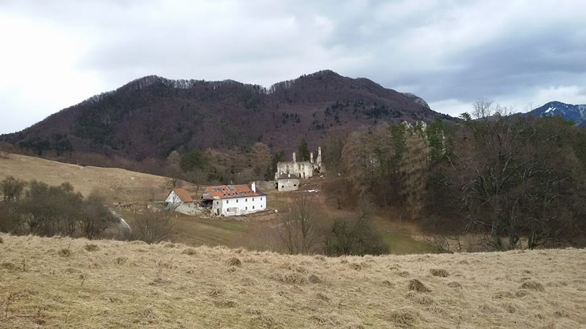 16939156_1428099753875190_7291232142494255187_n