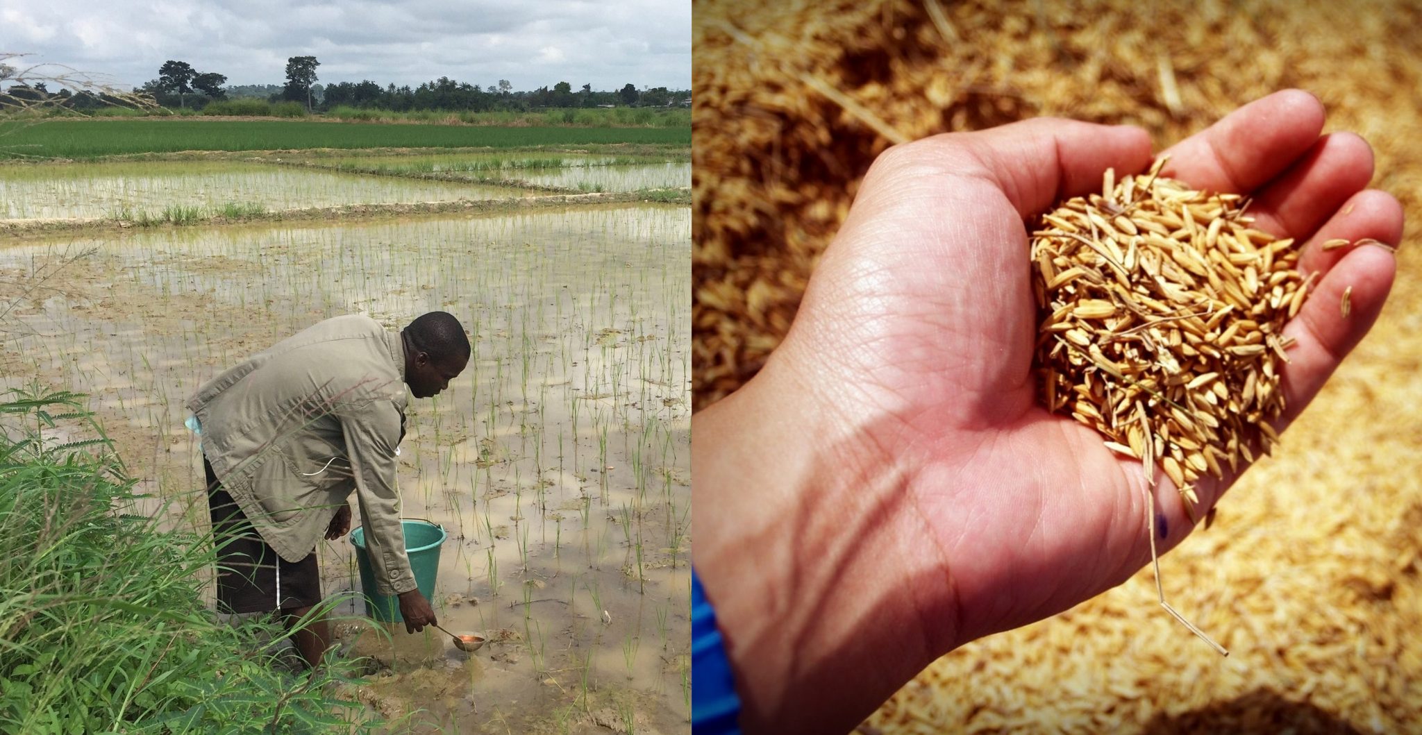 imgonline-com-ua-twotoone-Z4CBLmVMY23HM