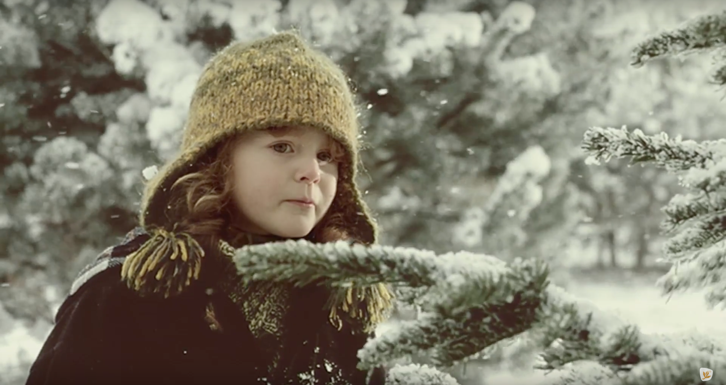 46407400_2246666928684908_25627584523927552_n