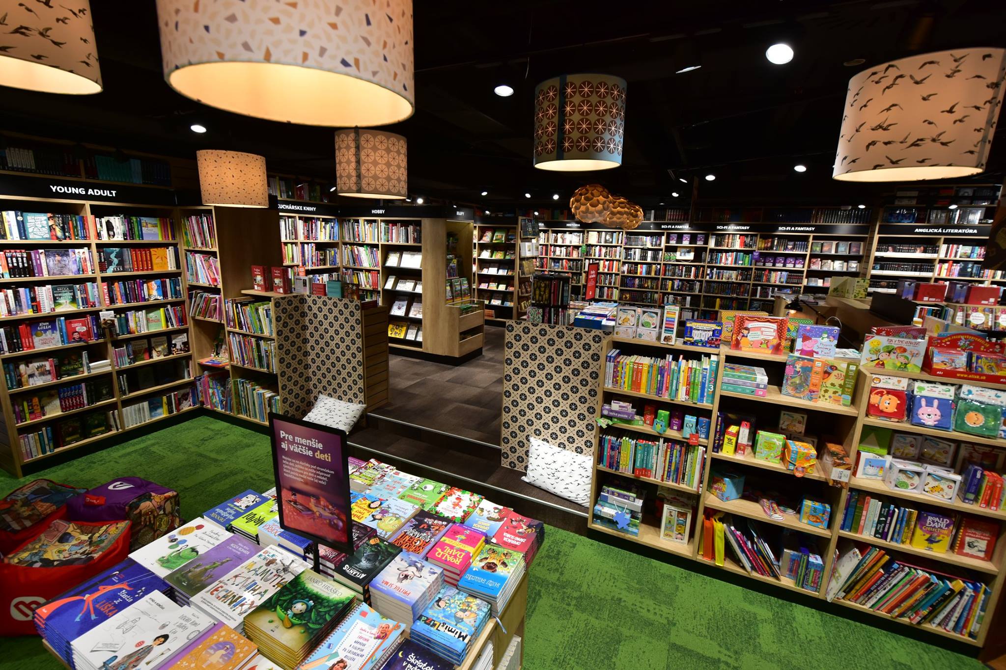 46931301_1056663857839341_1234802814132158464_o