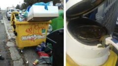 Slováci sú „králi“