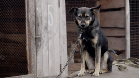 50-tisíc Slovákov sa