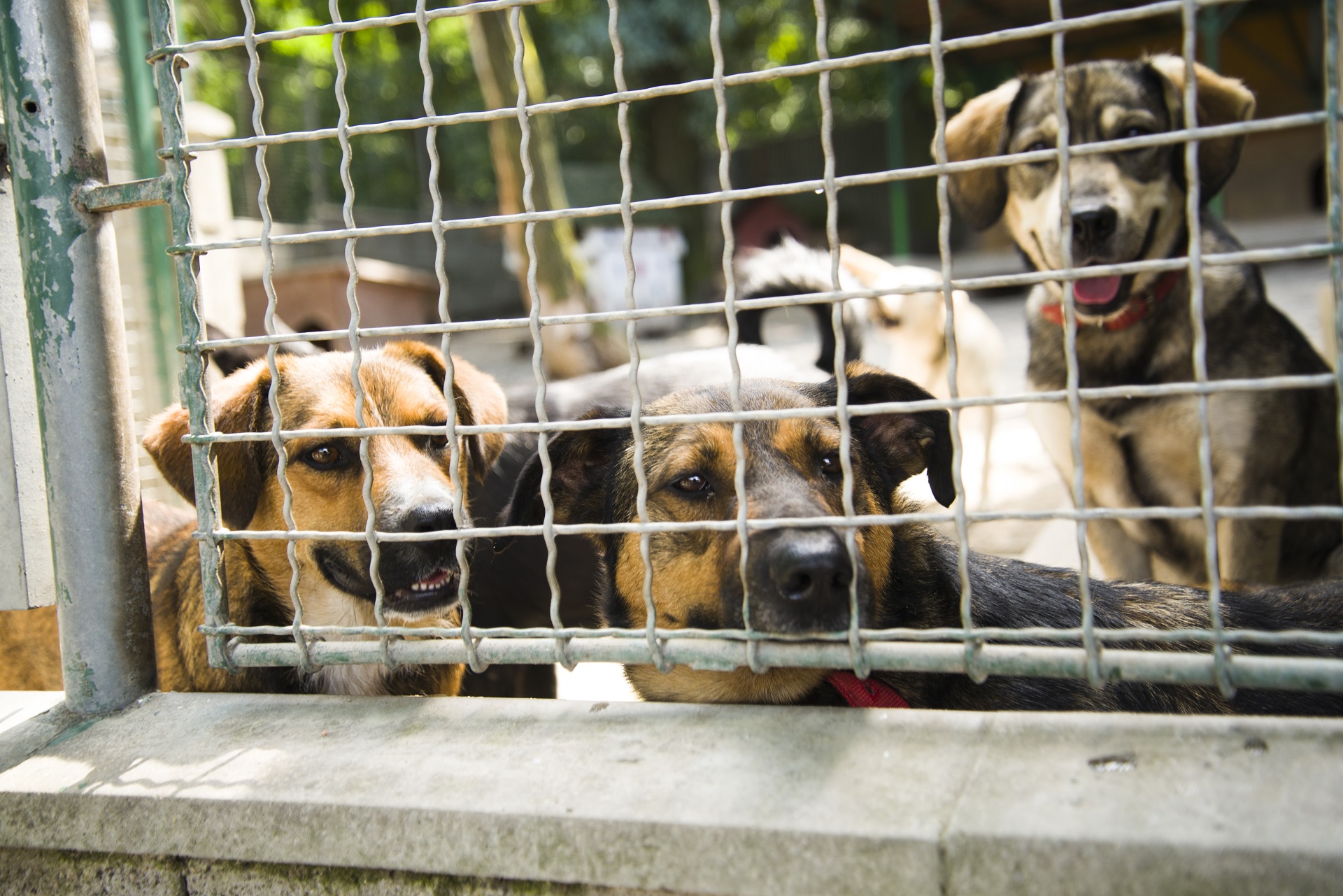 Ilustračný obrázok