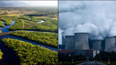 Vedci našli riešenie,