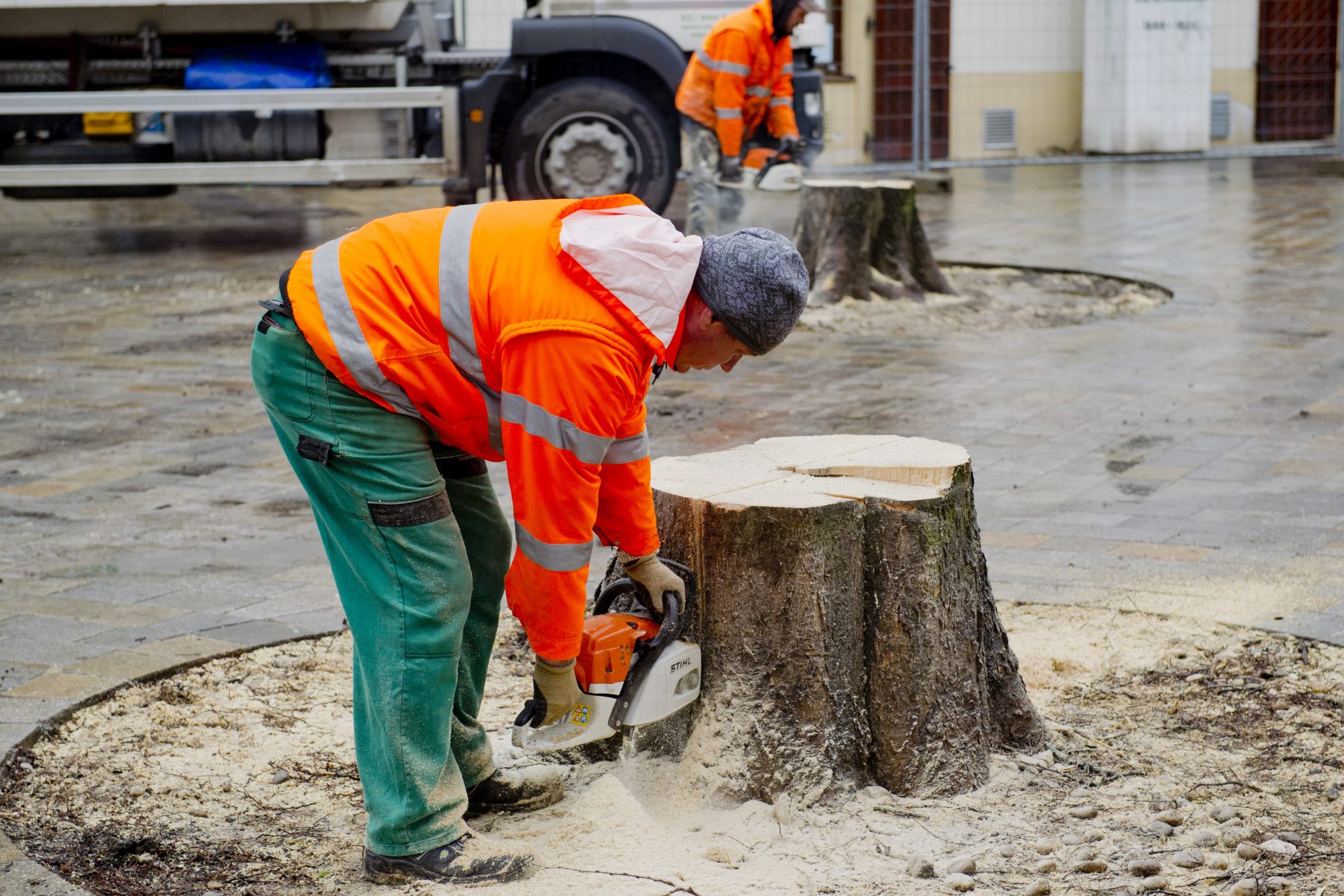 20160303_stromy_005329593-min