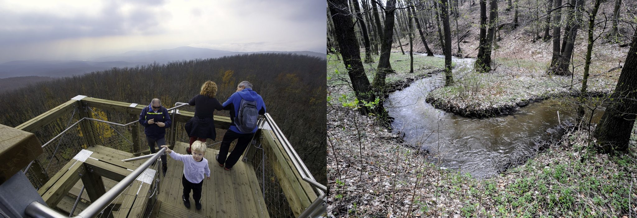 Ilustračný obrázok/TASR