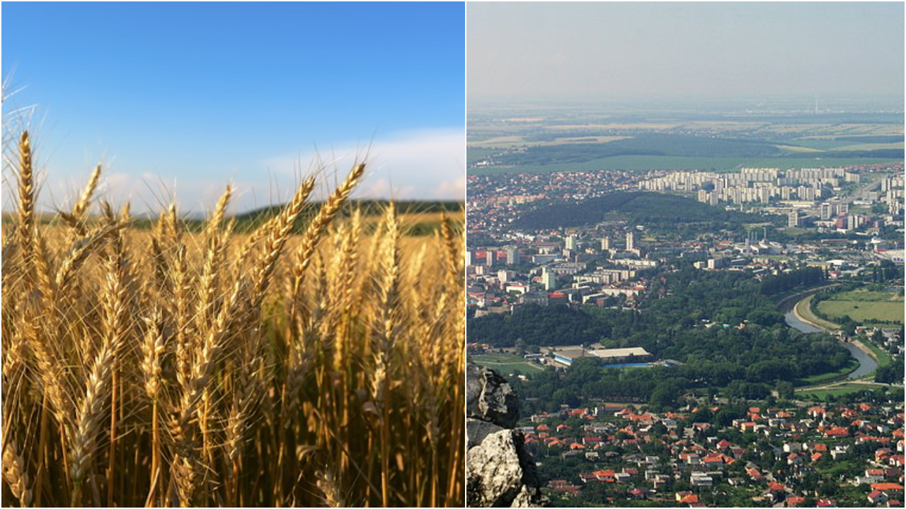 Ilustračný obrázok (pixabay.com, wikikedmia Igor Marhevský)