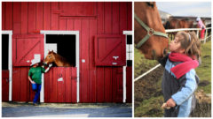 Minimalistická stajňa pre