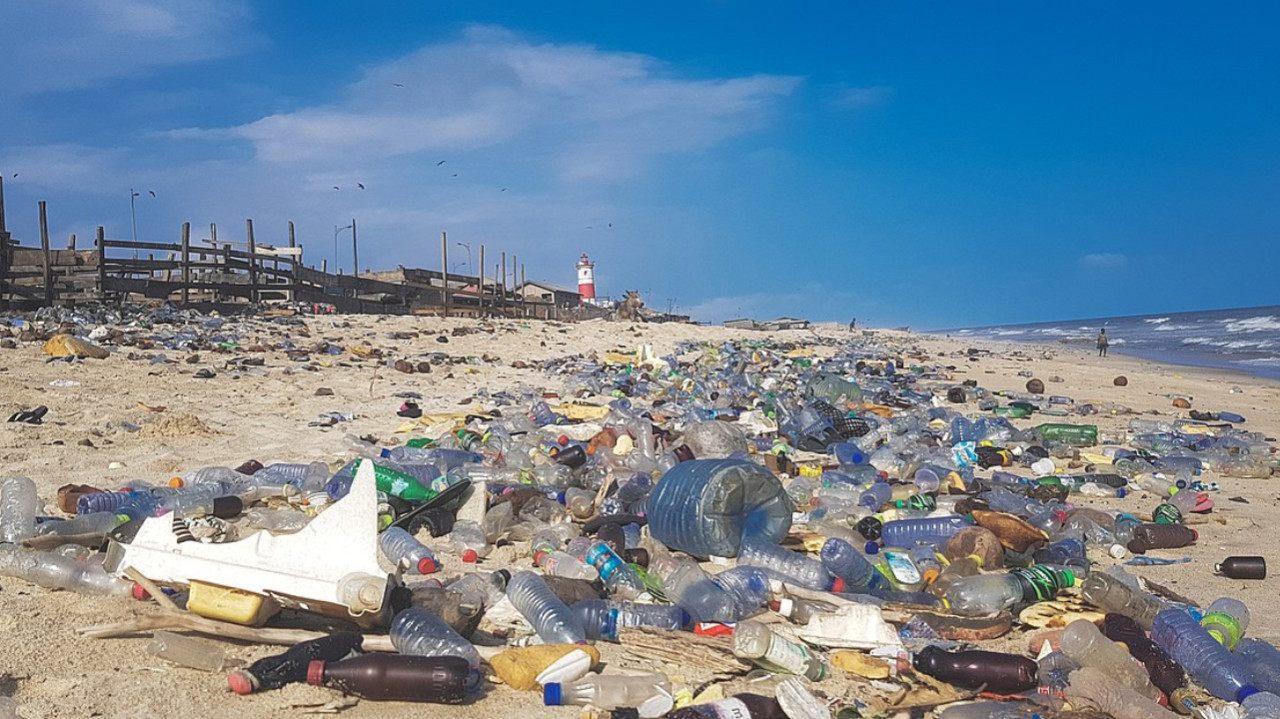 Wikimedia (Muntaka Chasant)