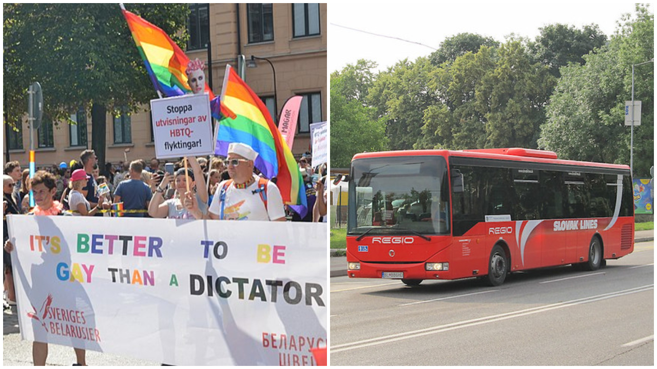 Wikimedia (Sparrow), Flickr (Janusz Jakubowski)